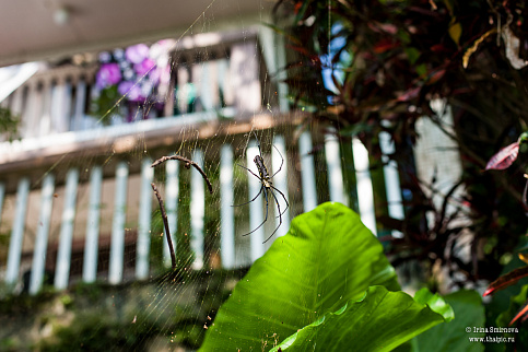 Загрузка ...