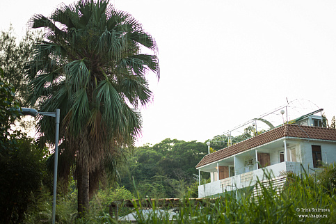 Загрузка ...