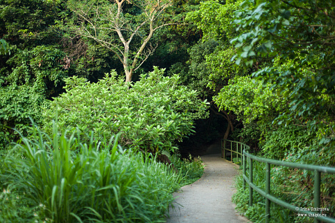 Загрузка ...