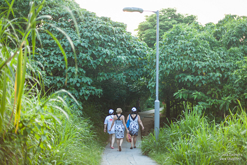 Загрузка ...