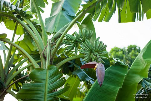 Загрузка ...