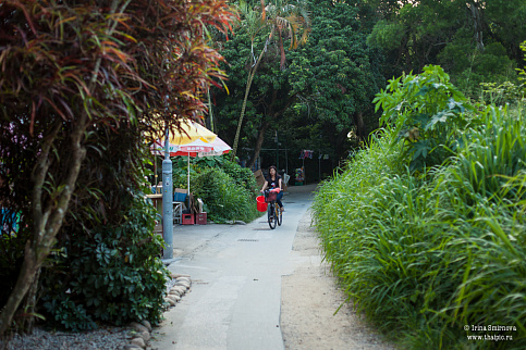 Загрузка ...