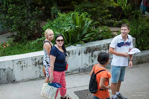 Загрузка ...