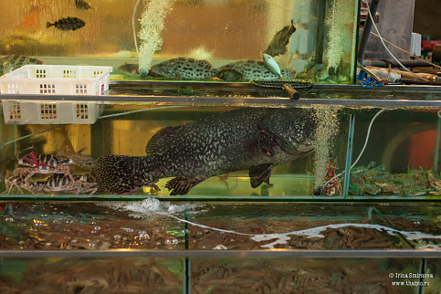 Загрузка ...