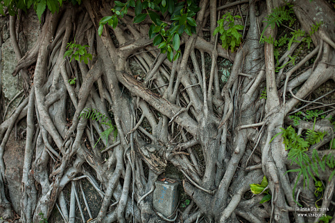 Загрузка ...