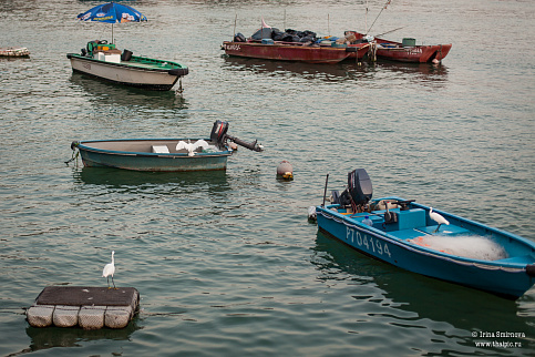 Загрузка ...