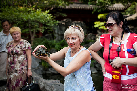 Загрузка ...