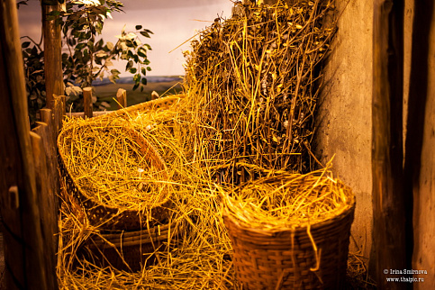 Загрузка ...