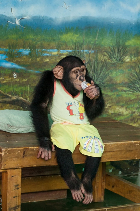 Загрузка ...