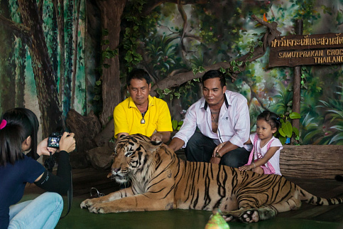 Загрузка ...