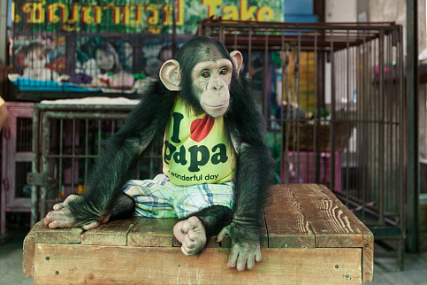 Загрузка ...