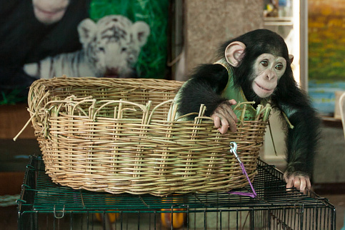 Загрузка ...