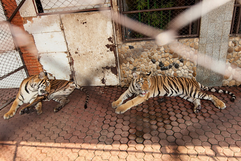 Загрузка ...