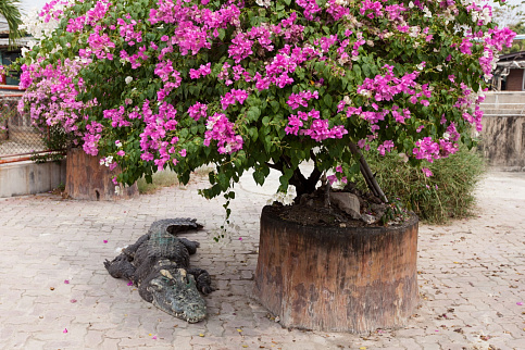 Загрузка ...