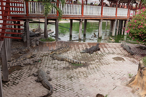 Загрузка ...