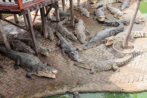 Загрузка ...