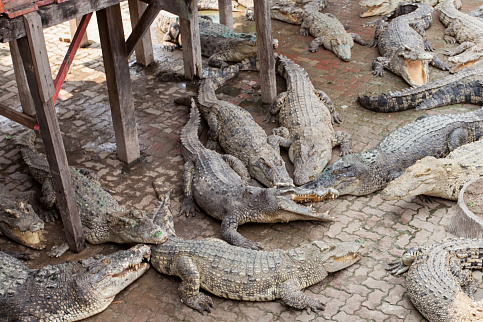 Загрузка ...