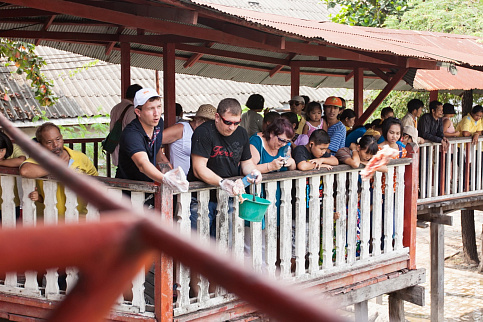 Загрузка ...