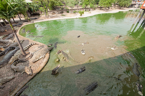 Загрузка ...