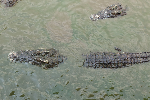 Загрузка ...