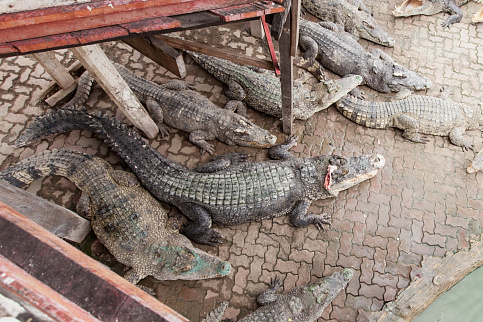 Загрузка ...