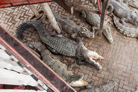 Загрузка ...