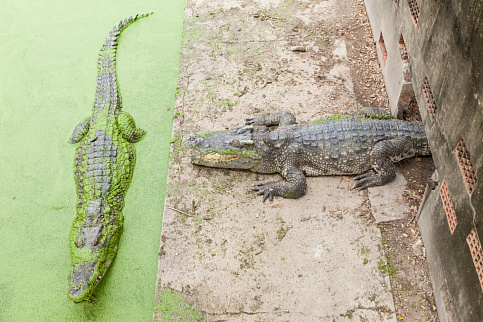 Загрузка ...