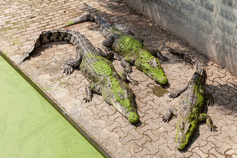 Загрузка ...