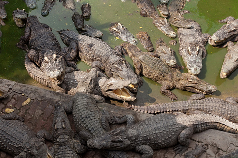 Загрузка ...