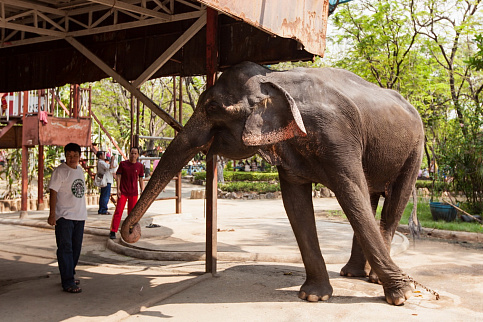 Загрузка ...