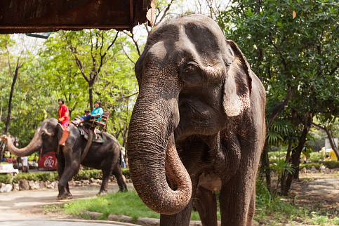 Загрузка ...