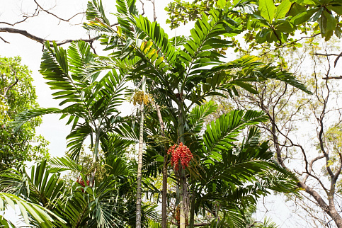 Загрузка ...