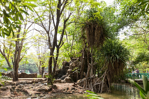 Загрузка ...