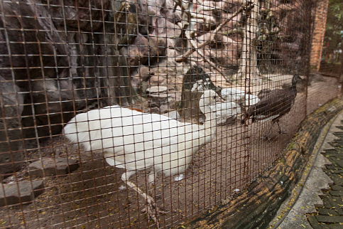 Загрузка ...