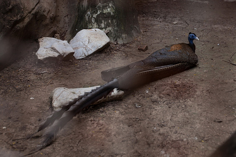 Загрузка ...