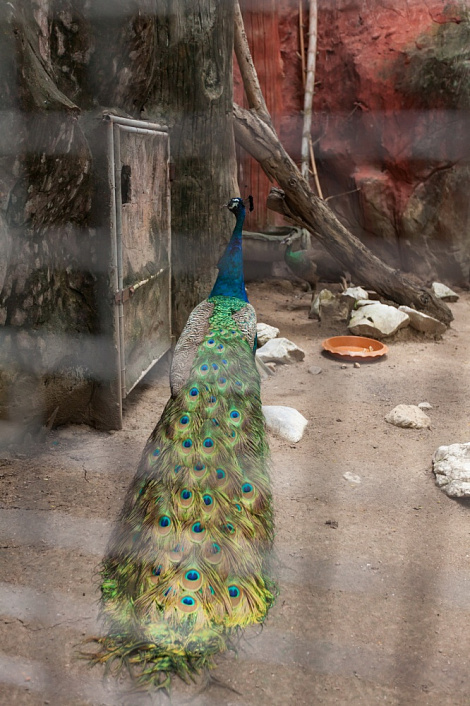 Загрузка ...