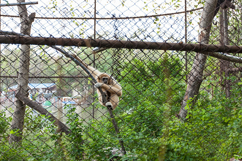 Загрузка ...