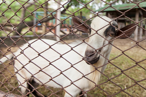 Загрузка ...