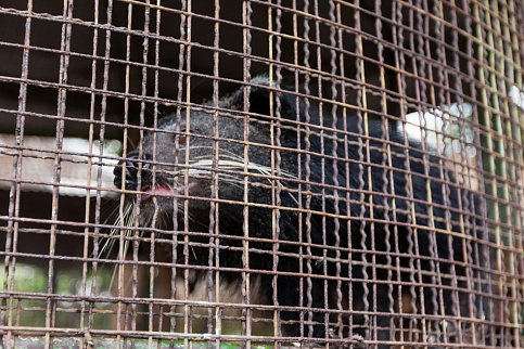 Загрузка ...