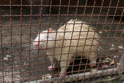 Загрузка ...