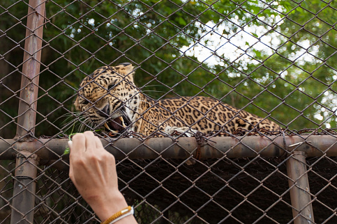 Загрузка ...