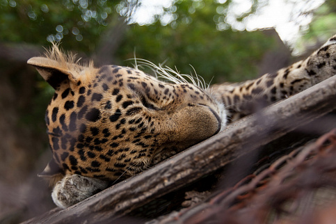 Загрузка ...