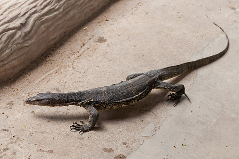 Загрузка ...