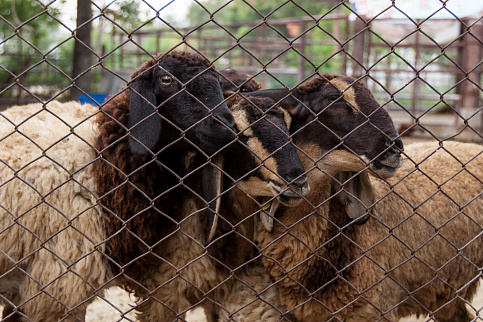 Загрузка ...