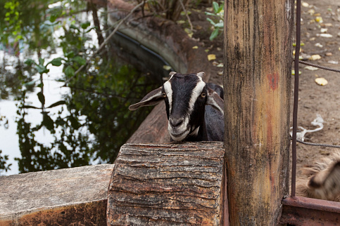 Загрузка ...