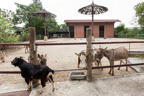 Загрузка ...