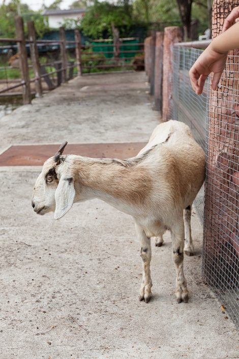 Загрузка ...