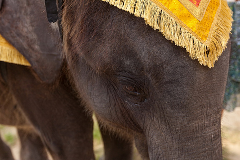 Загрузка ...