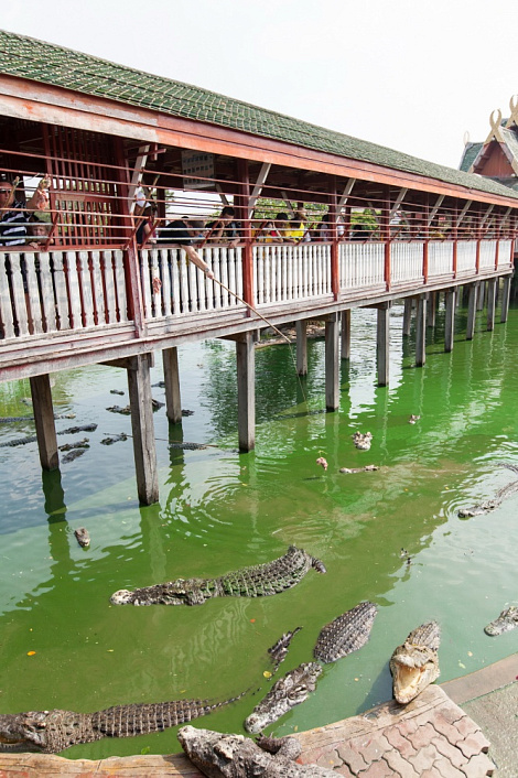 Загрузка ...