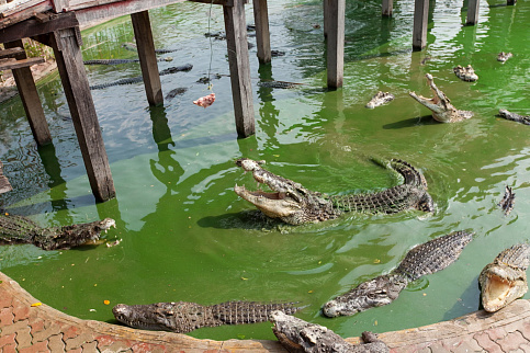 Загрузка ...